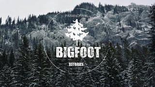 Hunter Scared For His Life In Tree Stand After Encountering Territorial BIGFOOT | SASQUATCH