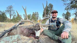 Late Season ARIZONA Archery MULE DEER (Catch Clean Cook)