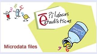 Microdata Files-INE-Spain