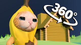 Banana Cat CRYING in 360° | VR | 4K