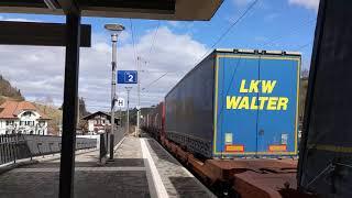 4K Freight Trains / Güterzug around Spiez (CH) - March 2020