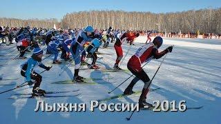 Лыжня России - 2016. Лыжня России в Новосибирске