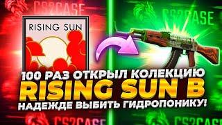 ОТКРЫЛ 100 РАЗ КОЛЛЕКЦИЮ RISING SUN, ЧТОБЫ ВЫБИТЬ ГИДРОПОНИКУ ЗА 80 000 РУБЛЕЙ!