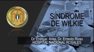 Síndrome de Wilkie o Pinzamiento de la Arteria Mesentérica Superior Resuelto por Laparoscopia