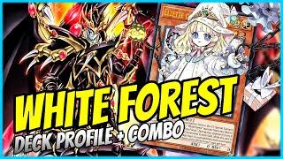 DRAGOON IS BACK! | WHITE FOREST JETZT NOCH BESSER! | DECK PROFILE + COMBO | Yu-Gi-Oh!