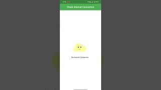 Intetnet connection check in flutter app