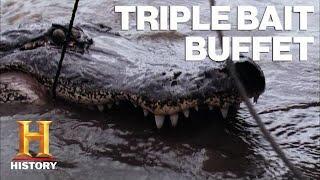 Swamp People: 6 Types of Gator Bait Lure in MASSIVE Gators | History