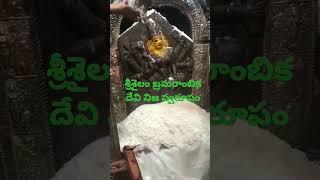 Srisailam Bramarambika Devi | Nija Rupa | #srisailam #devotional #entertainment