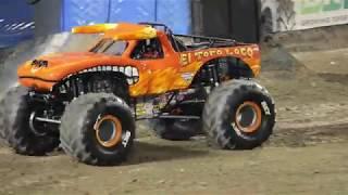 El Toro Loco Driver Chuck Werner's Freestyle Orlando