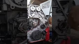 Kia D4CB || Timing Chain [Supply Pump to Camshafts]