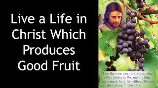 April 28, 2024 - Live a Life in Christ Which Produces Good Fruit