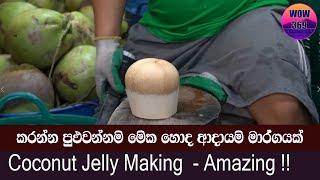 Only Coconut Lovers! Amazing Coconut Jelly Making!!