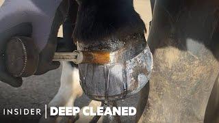 How Horse Hooves Are Deep Cleaned | Deep Cleaned | Insider