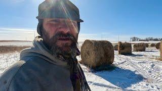 How We Feed Our Cows On Vacation!! (200 BALES)