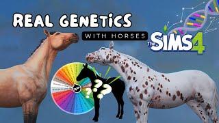 Breeding Realistic Horses in The Sims 4  Using Real Equine Genetics in TS4 Horse Ranch 