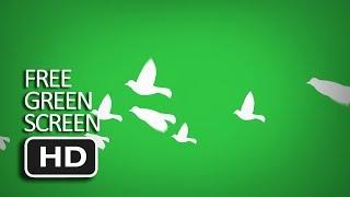 Free Green Screen - Flying Dove