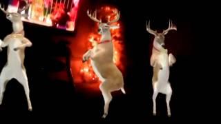 Dancing reindeer