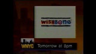 WNYC 31 Commercial Break on January 21, 1996 (60fps)