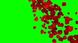Romantic flying red rose flower petals Green Screen Video,Animated background video effects