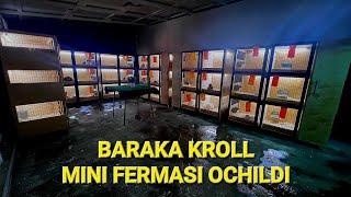 BARAKA KROLL MINI QUYON FERMASI OCHILDI TOMOSHA QILIN