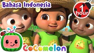 Ayo Kita Belajar Berkebun | CoComelon Bahasa Indonesia - Lagu Anak Anak | Nursery Rhymes