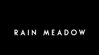 Rain Meadow - A Rainworld Online Multiplayer Mod