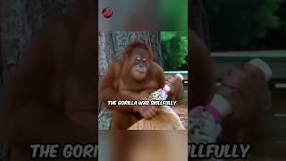 Extraordinary Bonds of Motherly Love #shorts #animals