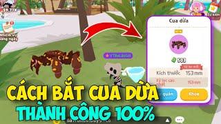 [PLAY TOGETHER] Hướng Dẫn Cách Bắt Cua Dừa Thành Công 100%, Côn Trùng Hiếm Nhất