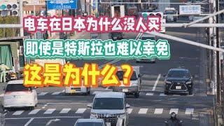 电车在日本为什么没人买，即使是特斯拉也难以幸免，这是为什么？