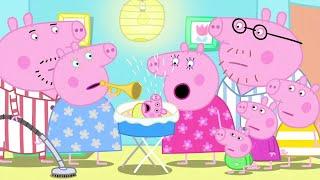 Peppa Pig Full Episodes | New Peppa Pig | Peppa Pig 2020 | Kids Videos