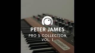 Pro 5 Collection vol.1 - Audio Examples