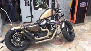 BSL HD Sportster 48 mit BSL Bobber Upswept, King Max Endcaps