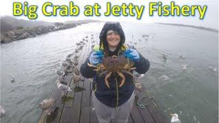 Crabbing Oregon Coast for Big Dungeness Crab at Jetty Fishery on Nehalem Bay | Rockaway Beach, OR