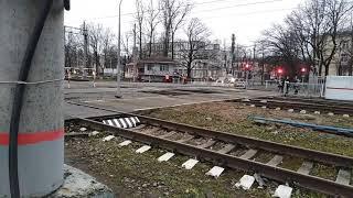 Электропоезд ЭТ2-003 на станции Царское село