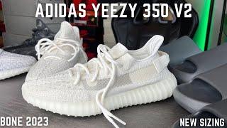 Adidas Yeezy Boost 350 V2 Bone 2023 On Feet Review New Sizing Tips