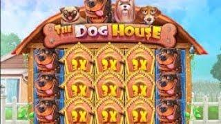 Х1000 С ПЕРВОЙ БОНУСКИ!! Я В ШОКЕ!! ПРОСТО РАЗНЕС DOG HOUSE!!!