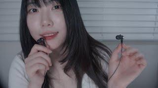 ASMR 이어폰마이크로 29분만에 잠들기! (카메라터칭, 인어디블, 오일마사지, 시각적팅글)