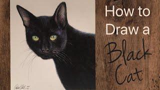 Cat Drawing Tutorial With Colored Pencils - By Artist: Andrea Kirk | The Art Chik