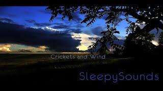 Crickets and Wind – 9 hours of relaxing sounds to help you fall asleep - White noise