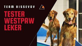 Team Bissevov testster Westpaw leker!