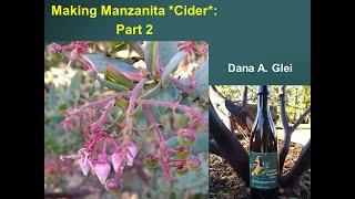 Making Manzanita Cider: Part 2