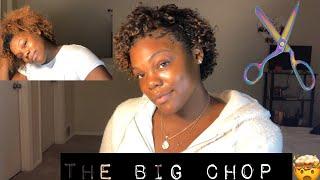 MY BIG CHOP!! | Cutting off Heat & Color Damage