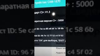 40" Skyworth 40E2AS FullHD Смарт TV на нем модуль  нтв+ работает