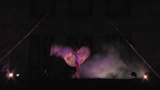 Quixotic Fusion | Dancing in the Street Festival 2011 - Promo