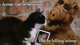 Alf. You're falling asleep. Альф. Ты засыпаешь. #alf