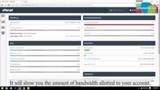 How to Look Statistics on Cpanel