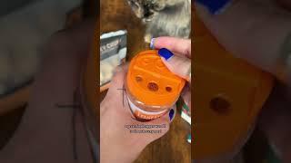 Feed My Cat With Me | Cat Food Toppers | Raw Cat Food | Cat Videos | Cat Food #cat #shorts