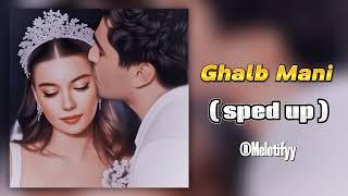 Ghalb Mani - Haamim - ( Sped Up ) I حامیم - قلب منی ( اسپید آپ )