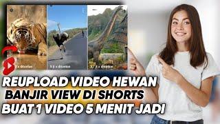 Lulus Monetisasi! Reupload Video Hewan Bisa Jutaan View Di Short - Cara Cari Cuan Di YouTube Shorts