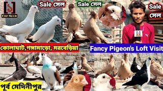 Kolaghat Fancy Pigeon's Loft Visit || Pigeon's Loft Visit || One Moon